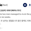 오늘의 영단어 다섯개 이미지