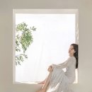 줄리엣로즈