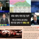 한국pet