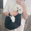 청라공감동물병원 이미지