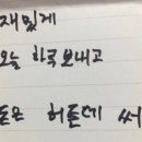 롤리김밥 이미지