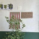 여름도겨울 이미지