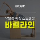 스카이짐피트니스 구서점 이미지