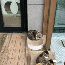 별이랑 놀자 이미지