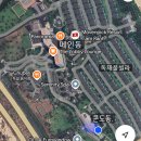 나트랑 모벤픽 리조트 씨뷰 인터커넥티드 스튜디오 소파베드 대가족 강추 후기