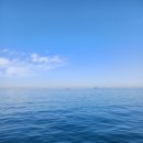 남원사랑공인중개사사무소 이미지