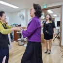 장내경로당 Daum카페