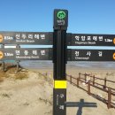 학암포 분점도 이미지