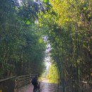 오금상촌공원 화장실 | [걷기] 남파랑길 48코스 (광양구간)