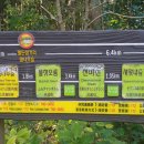 월든삼거리 | 제주 사려니숲길 종주 2탄 월든삼거리에서 안내소입구까지 (2018.11.04)