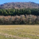 정은부동산공인중개사사무소 이미지