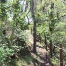 제주 올레길 9코스 이미지