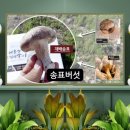 농업회사법인 우성(주) 이미지