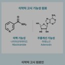 지비케어 | [ 수분선크림 시카선크림 ] 지비화장품 GB-5 선케어 사용후기 : 수분 진정 트러블케어