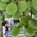 중흥2동 행정복지센터 이미지