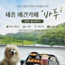 카페바투 | 장군면 산학리 애견동반 카페 초대형 세종 애견카페 '바투' 방문 솔직후기ㅣ애견 전용공간 수영장 샤워...