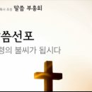 대구삼일교회 김진홍 목사 초청 말씀부흥회 성령의 불씨가 됩시다 (누가복음 12:49) 이미지