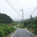 물미연꽃마을 이미지