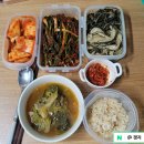 다이소 시흥거모점 | 버리기 아까워 털어보는 일상 #주간일기