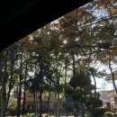 주남저수지 단풍나무화장실 | 창원 데이트 코스 추천 주남저수지 방문 후기