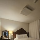 표선면-4 | 제주도 서귀포시 표선면 정성펜션 독채 강력추천 내돈내산 극강후기!!!