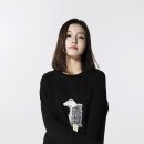 디자인오어