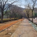 그늘막24 이미지