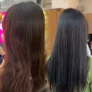 (주)다빈우드 | 신논현역미용실 몬도서울 신논현점 강남염색 다빈쌤 애쉬브라운 후기 웨딩염색 추천 네이버예약
