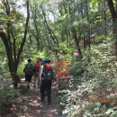 체육공원약수터 이미지