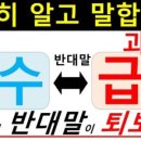 소프트레볼루션스