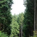 순천향매실마을 이미지