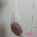 코코비나 이미지