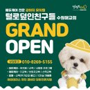 털로덮인친구들 수원매교점 네이버블로그
