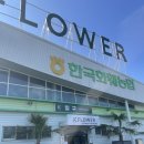 여주계분 | 옥상텃밭 만들기 -- 내돈내산 모종 구매까지(일산 해마루)