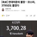 시바나라 이미지