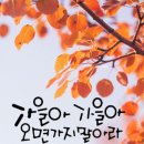 2024.10.20일 두타산 이미지