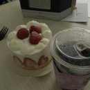 수진농장 | 0406-0419 일상 | 결국 접촉사고를 냈구나 웨딩촬영은 힘들구나