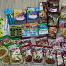 동해안로R 이미지