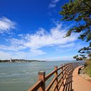 강강술래길 이미지