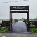 신안갯벌박물관 Daum카페
