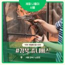 거북이네 | 서울 아이랑 가볼만한곳 강북 쥬니버스 후기 악어 체험부터 카멜레온, 도마뱀까지 직접 만져본 체험형...