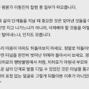 올랑 이미지