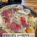 순이네 칼국수 | 반월호수 맛집 순이네만두촌 직영점 굴림만두전문점