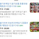 풍년염소농장 | [내돈내산] [화성 아기농부] 딸기체험 끝판왕! 🍓 밭도 넓고 배 터지게 먹고 온 찐후기 (동물 먹이주기까지)