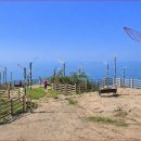 금오도 여천항 관광안내소 | “동백·바다·절벽이 이어지는 길” 여수 금오도 비렁길 코스 총정리