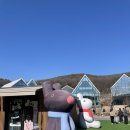 판교 흥림저수지 진입도로 | 분당 근처 초보운전 연습 장소 추천🚗, 주차연습 무료주차장 추천