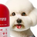 헬로 마이펫 이미지