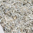 못난이식당 이미지