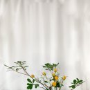 화훼장식 기능사(꽃꽂이) 이미지