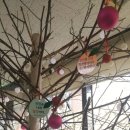 금호1가동주민센터 이미지